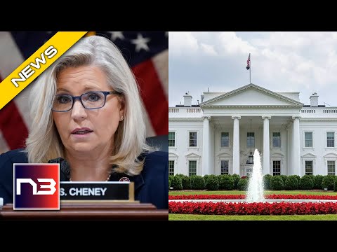 VIDEO Liz Cheney S 2024 Dreams CRUSHED The Patriot Watchdog   0 1 